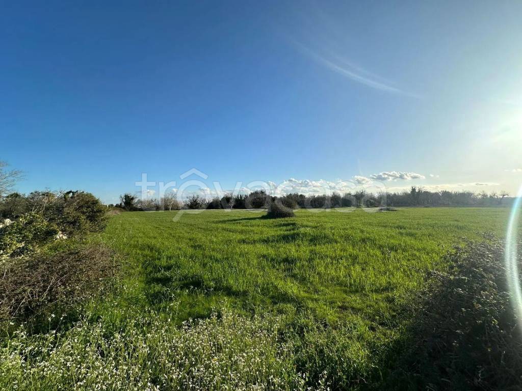 immagine annuncio 3 di 4