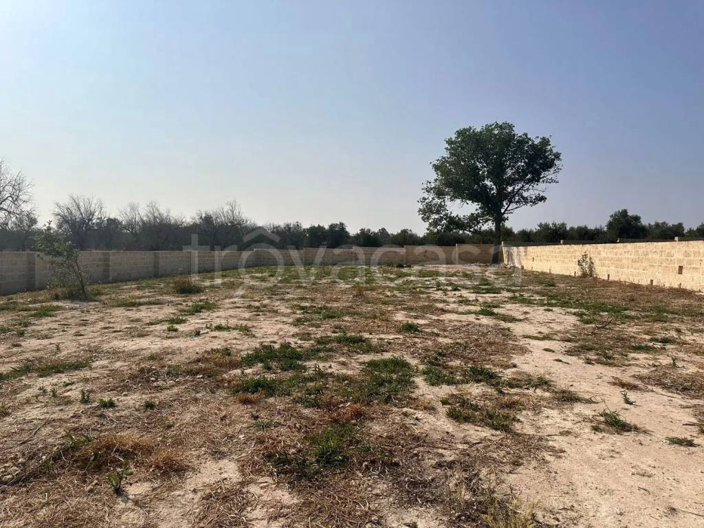 immagine annuncio 1 di 8