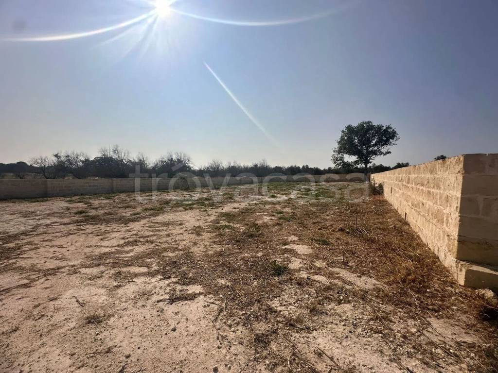 immagine annuncio 2 di 8