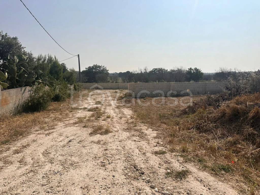 immagine annuncio 3 di 8