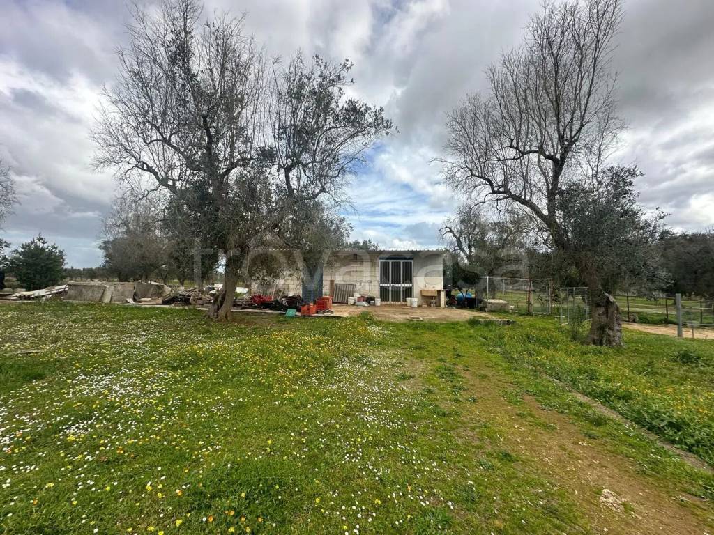 immagine annuncio 11 di 13