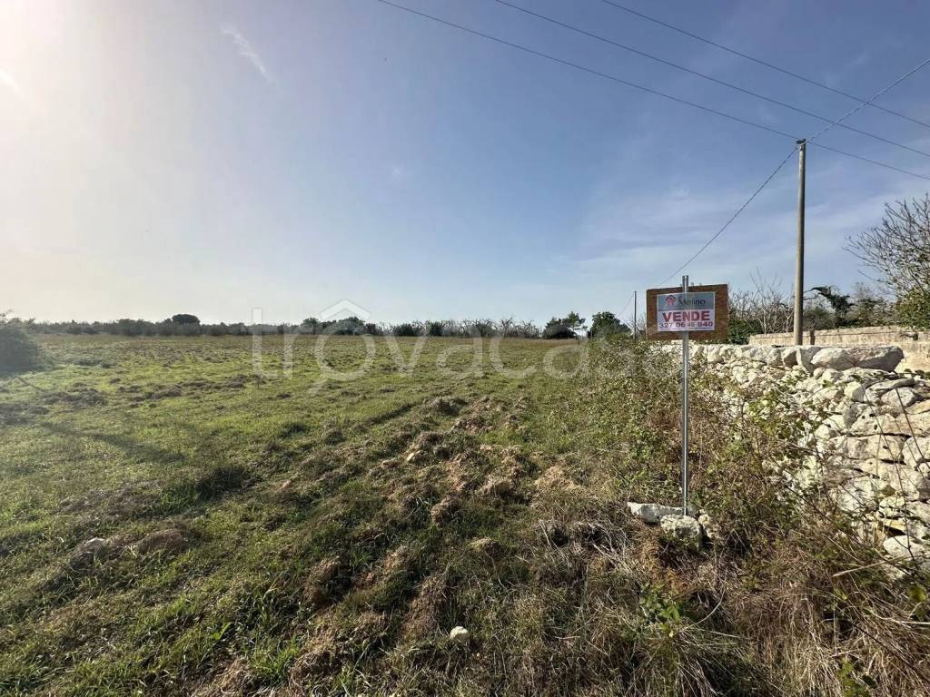 immagine annuncio 4 di 6