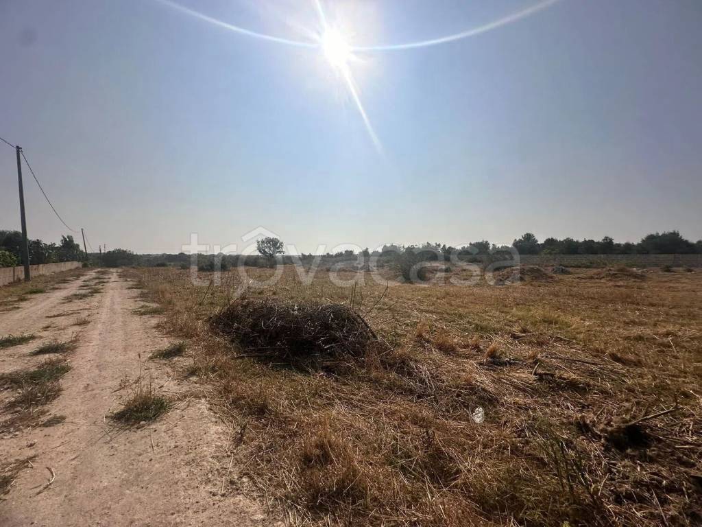 immagine annuncio 5 di 8