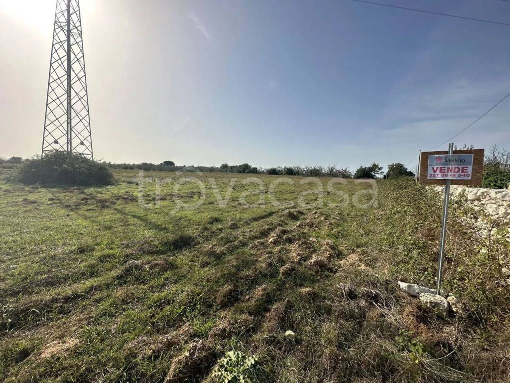 immagine annuncio 5 di 6