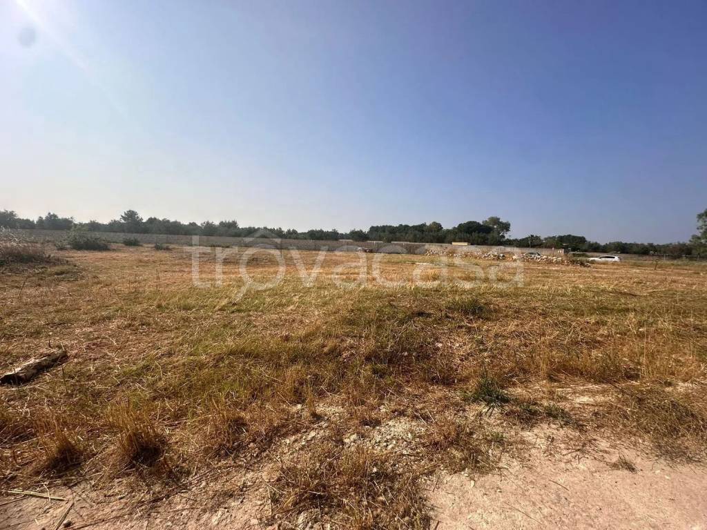 immagine annuncio 6 di 8