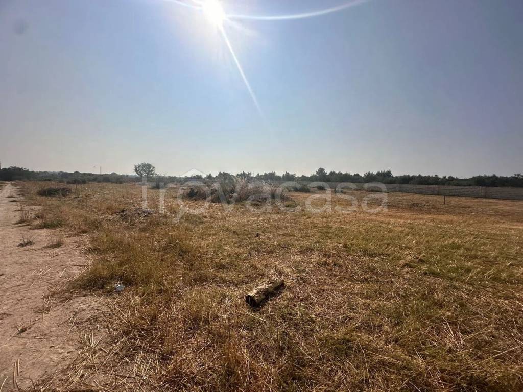 immagine annuncio 7 di 8