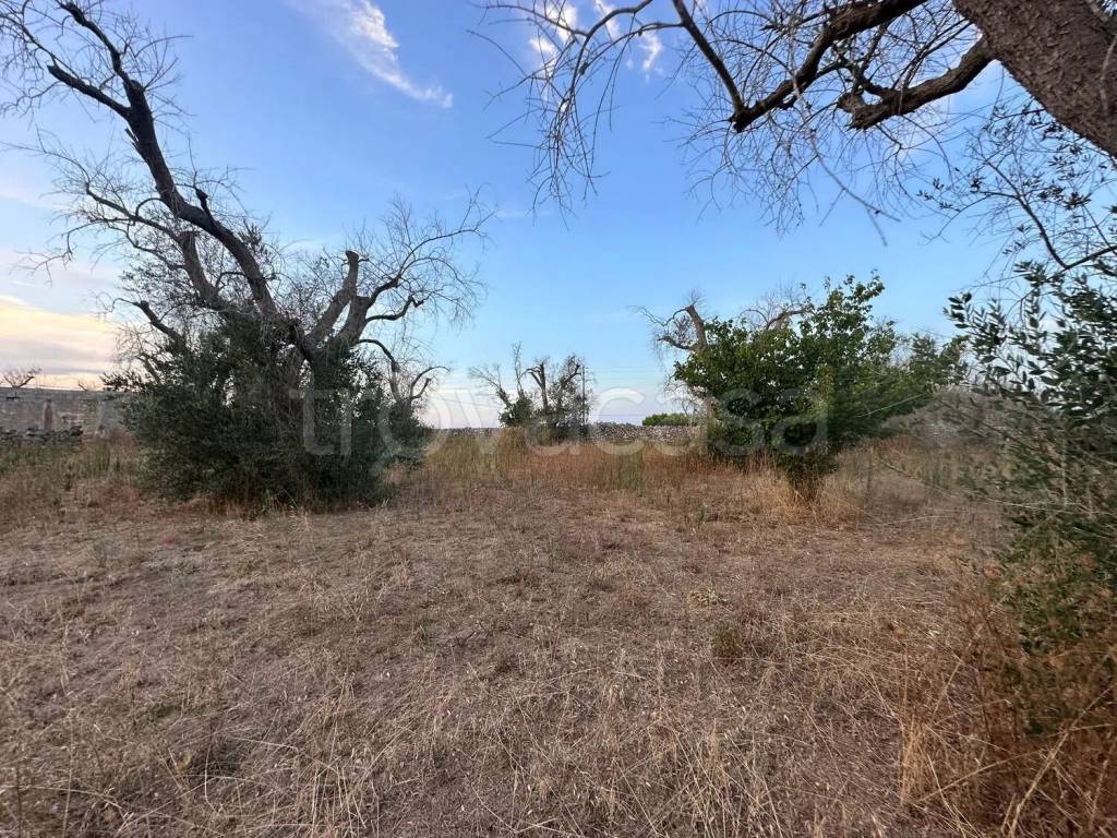 immagine annuncio 3 di 7