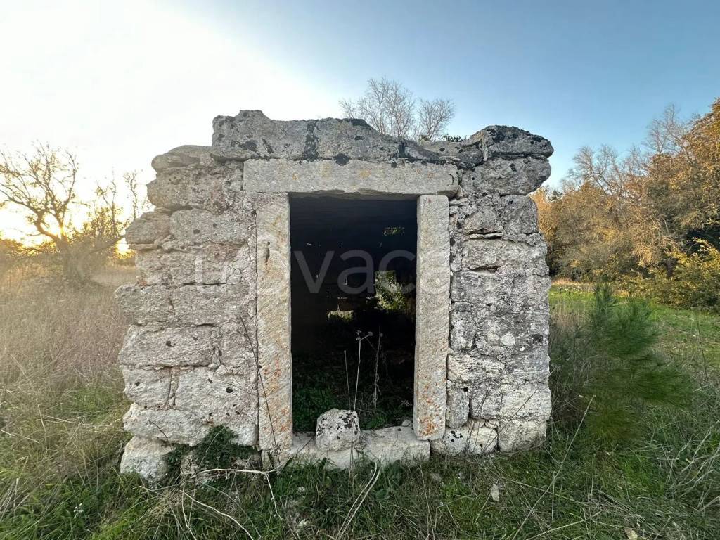 immagine annuncio 4 di 7