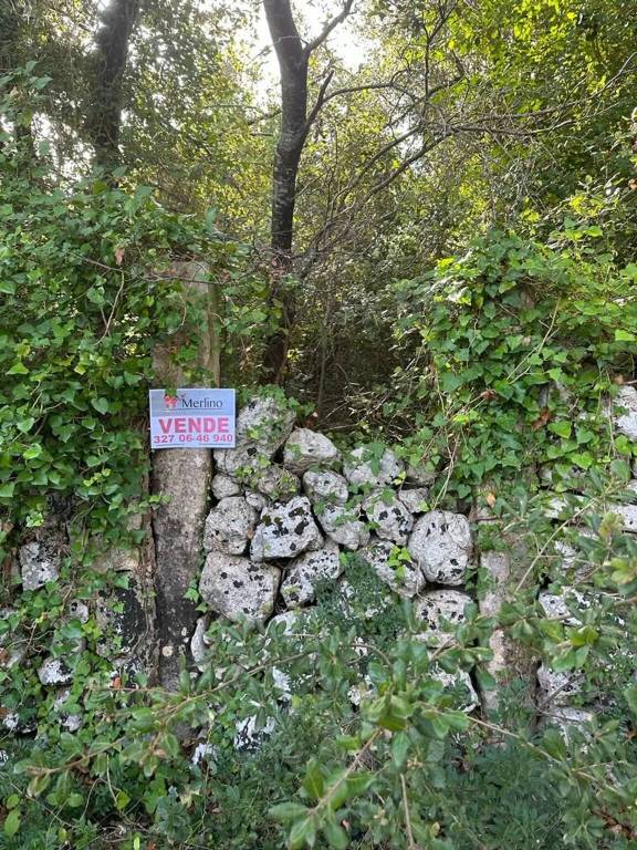 immagine annuncio 7 di 9