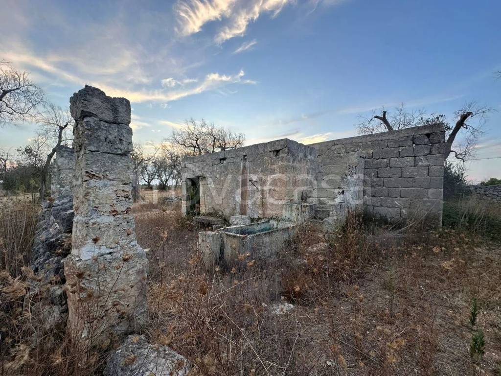 immagine annuncio 5 di 7