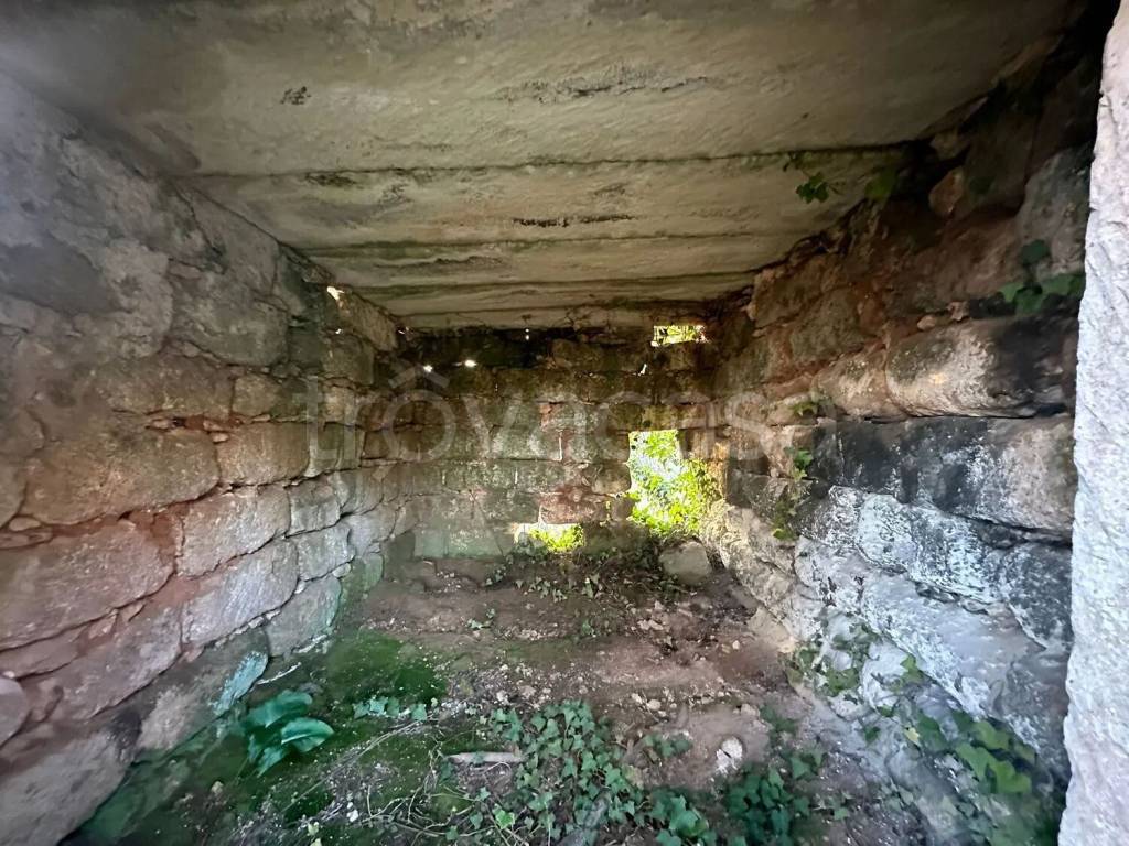 immagine annuncio 5 di 7