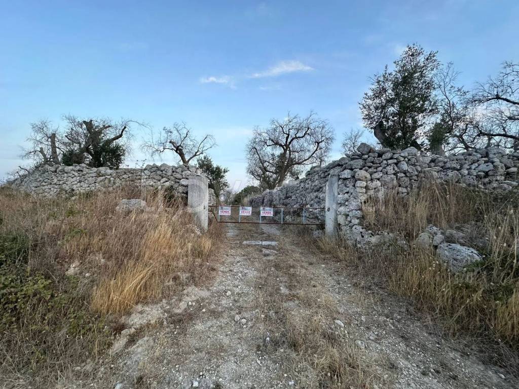 immagine annuncio 6 di 7