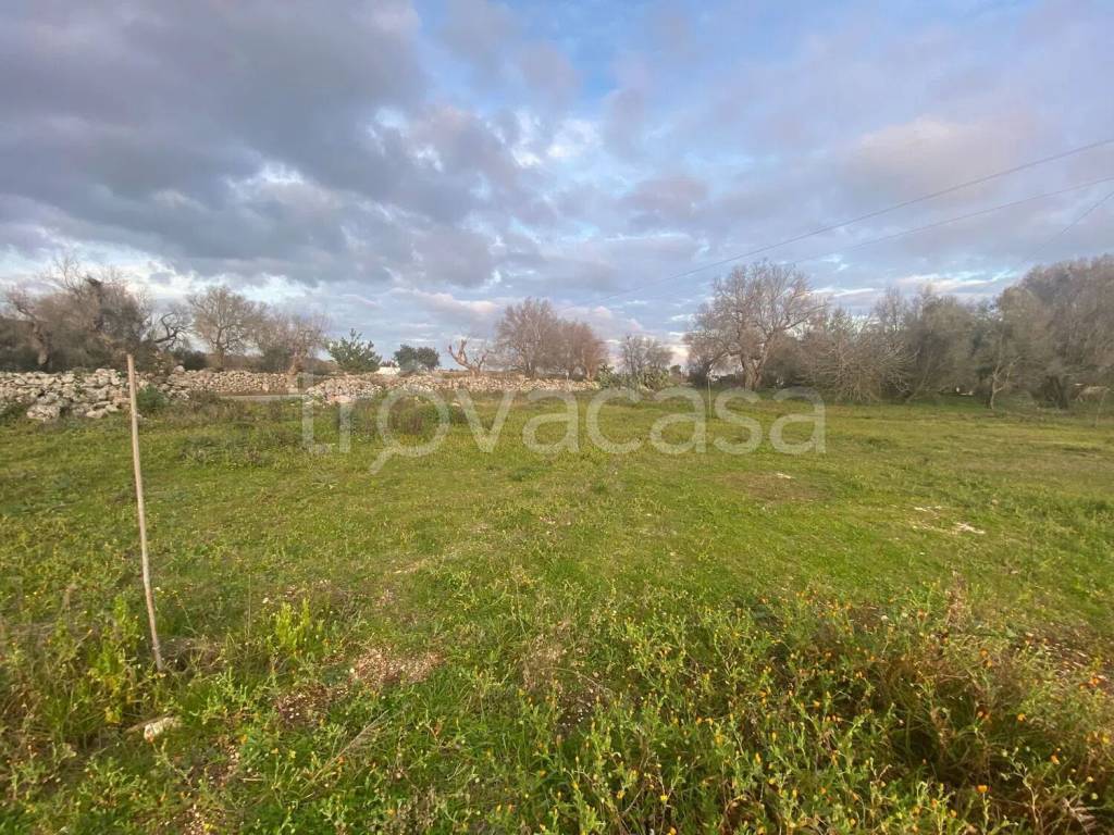 immagine annuncio 1 di 6