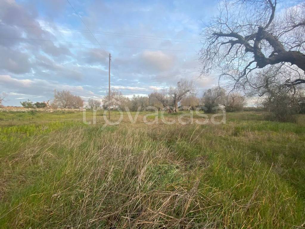 immagine annuncio 4 di 6