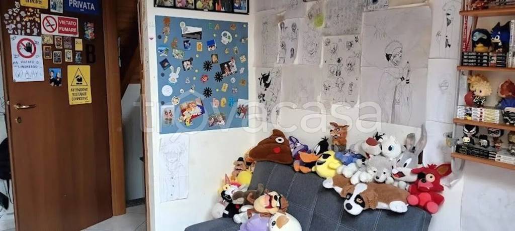 immagine annuncio 9 di 15