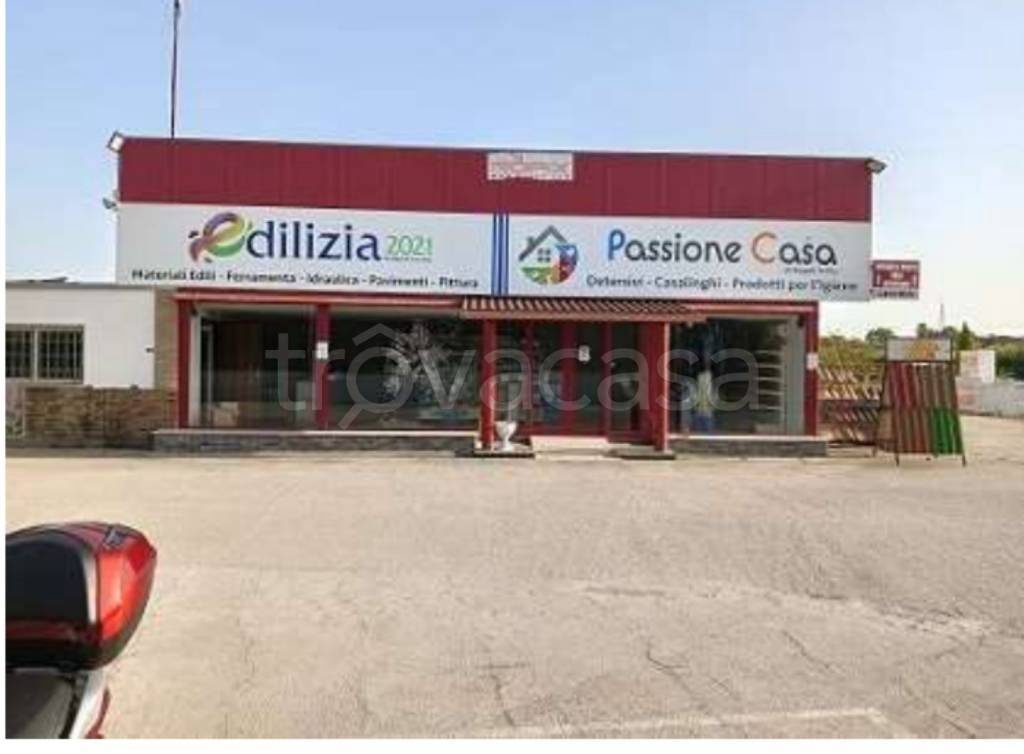 immagine annuncio 2 di 14