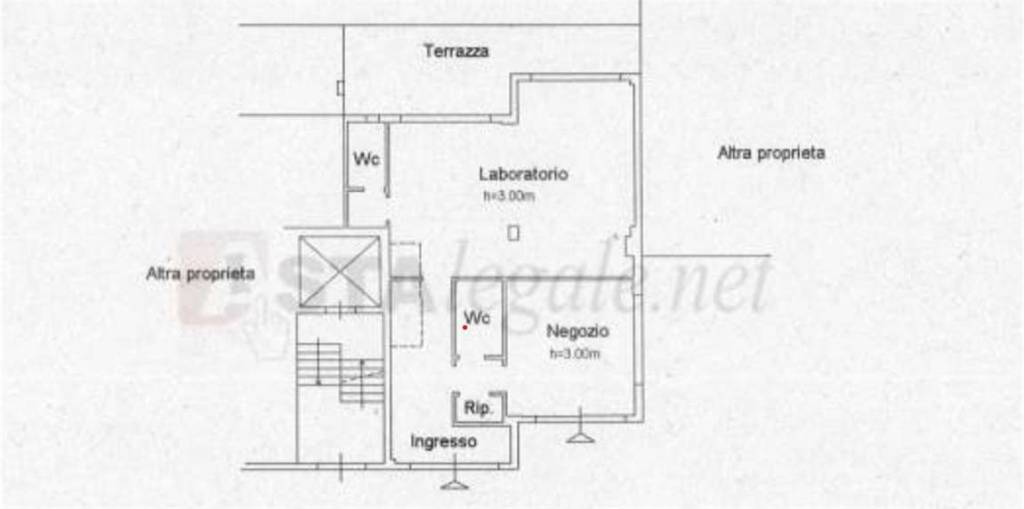 immagine annuncio 8 di 14