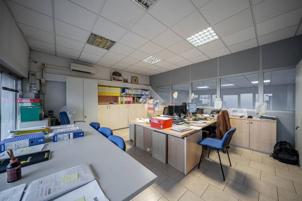 immagine annuncio 9 di 12