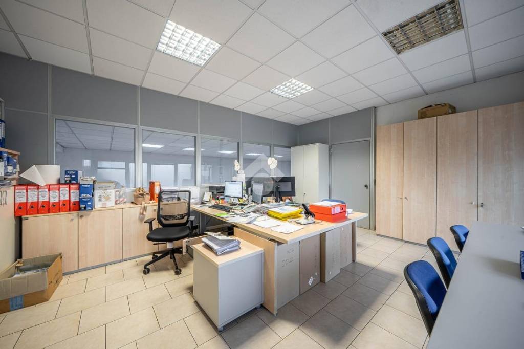 immagine annuncio 10 di 12