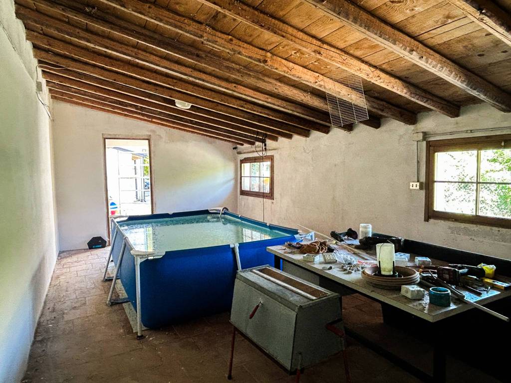 immagine annuncio 4 di 7