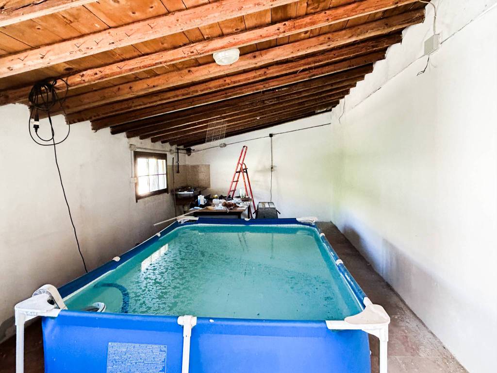 immagine annuncio 5 di 7