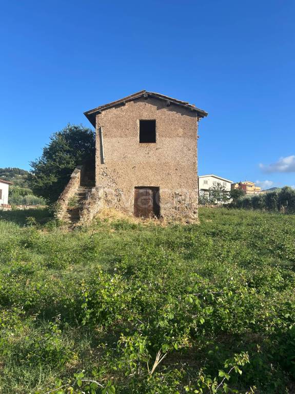 immagine annuncio 3 di 8