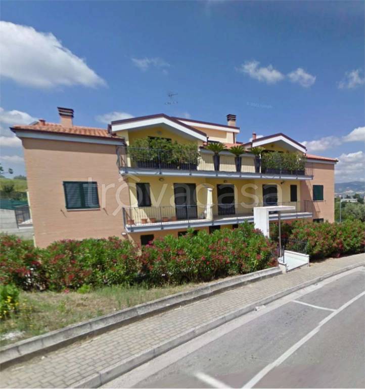 immagine annuncio 13 di 15