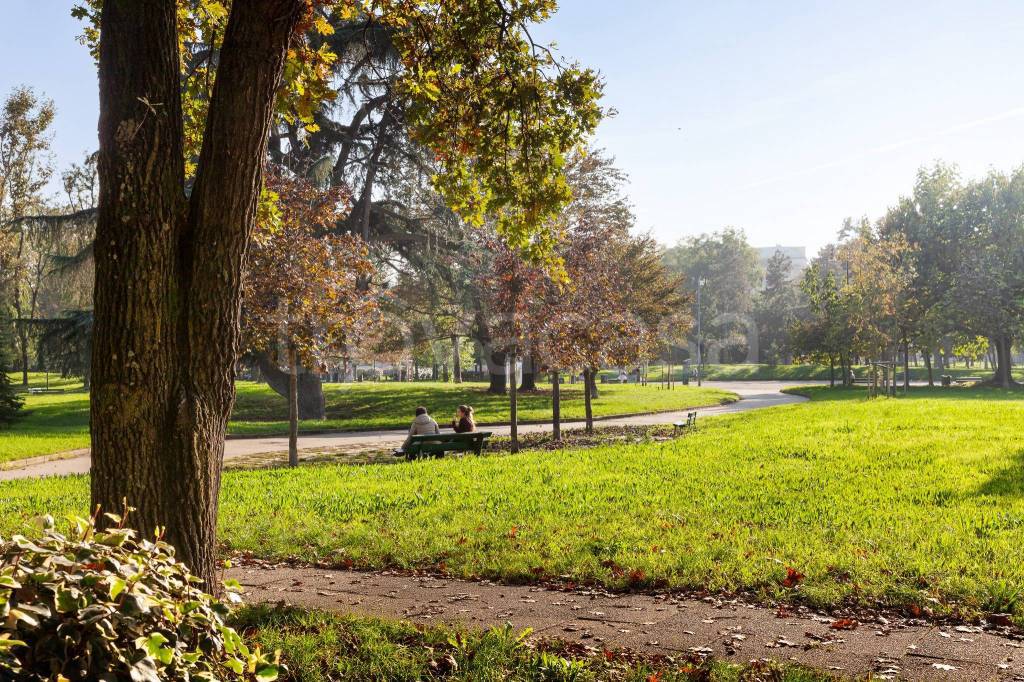 immagine annuncio 11 di 13