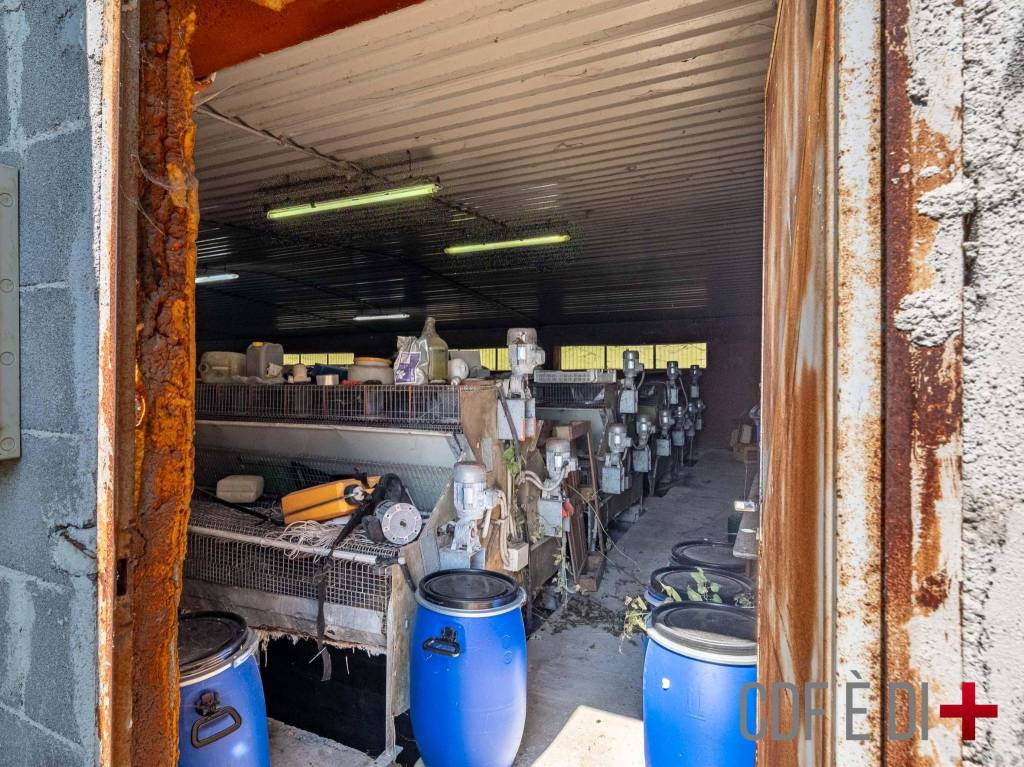 immagine annuncio 13 di 15