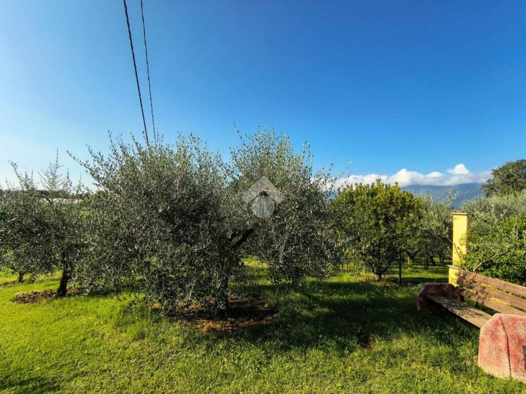immagine annuncio 9 di 11