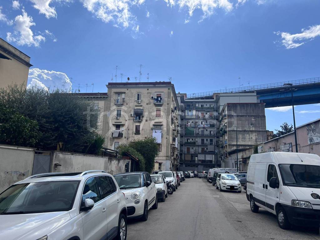 immagine annuncio 13 di 14