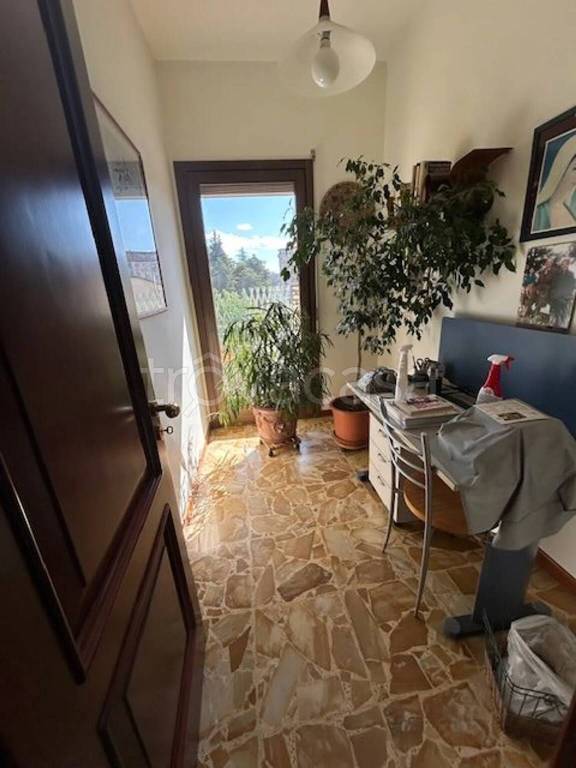 immagine annuncio 7 di 14