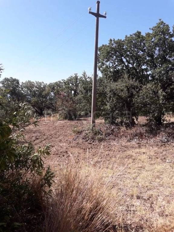 immagine annuncio 2 di 6