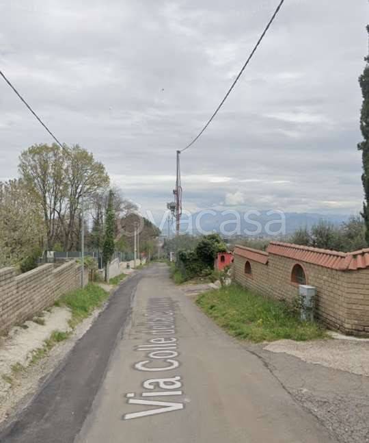 immagine annuncio 8 di 11