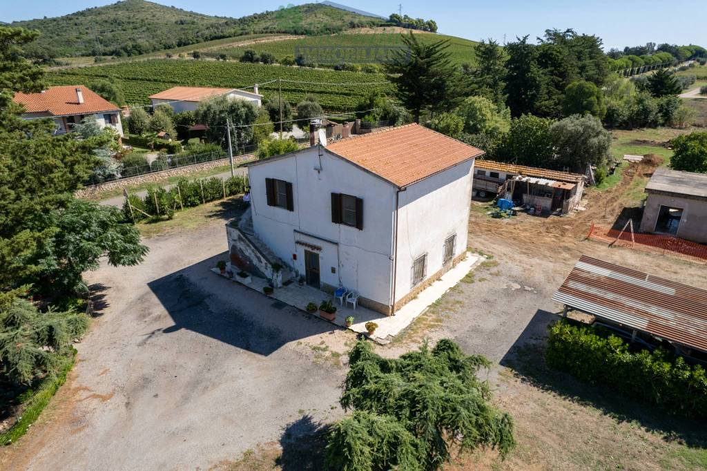 immagine annuncio 8 di 14