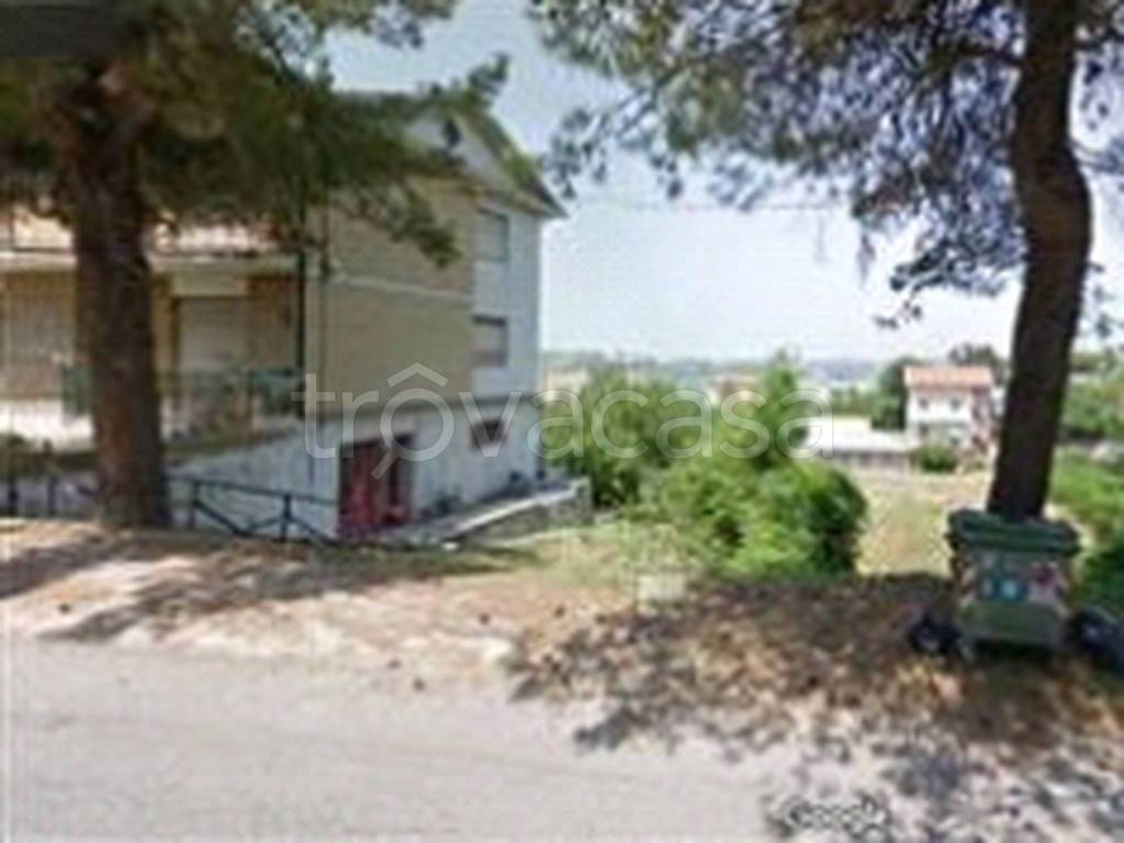 immagine annuncio 2 di 11