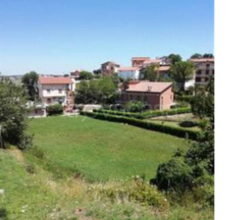 immagine annuncio 5 di 11