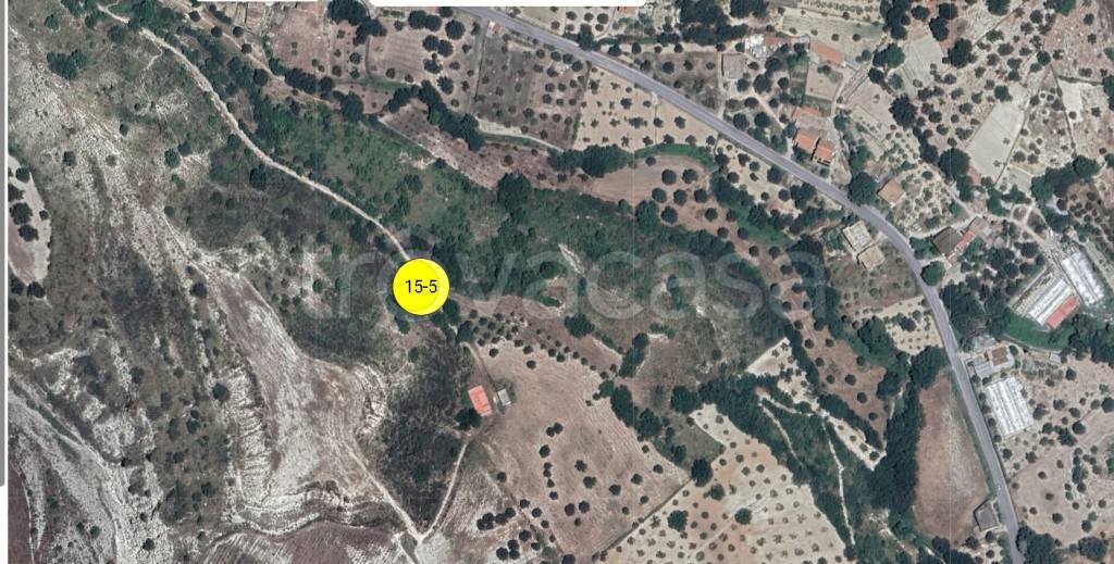 immagine annuncio 12 di 13