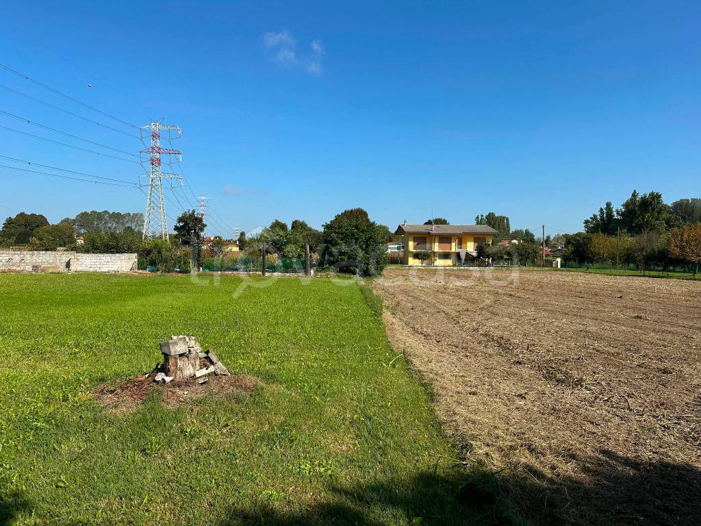 immagine annuncio 5 di 6