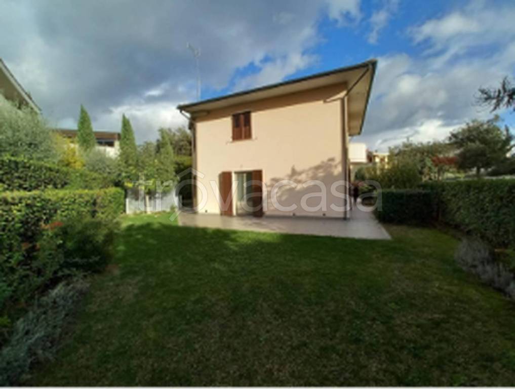 immagine annuncio 7 di 12