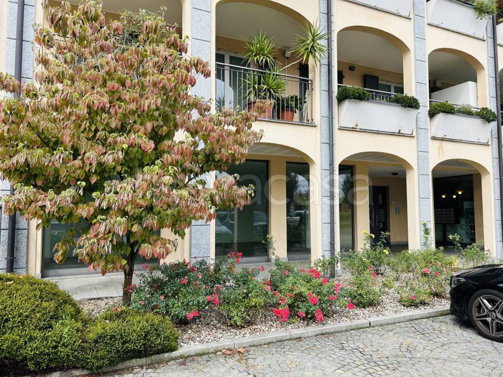 immagine annuncio 1 di 8