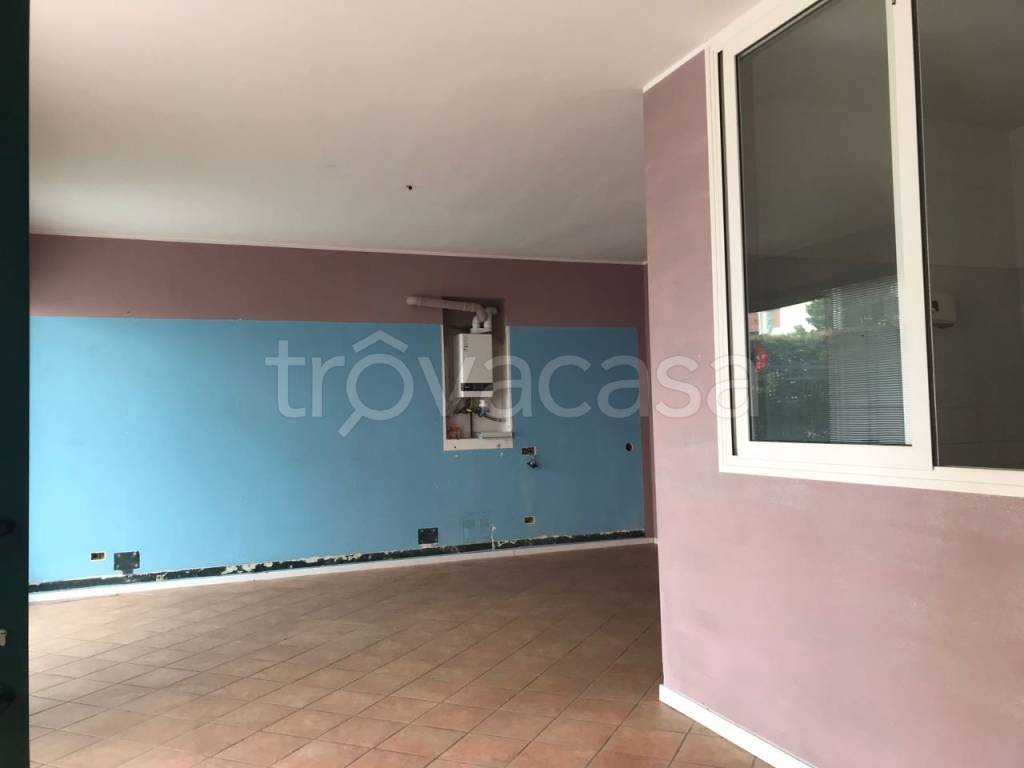 immagine annuncio 6 di 11