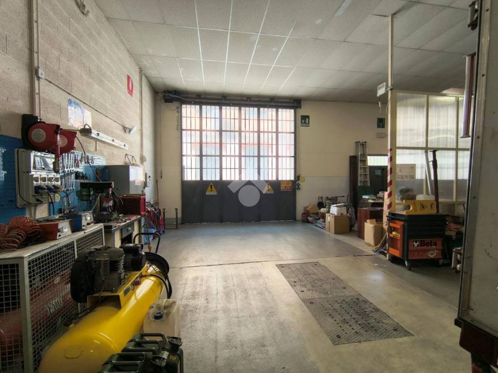 immagine annuncio 3 di 15