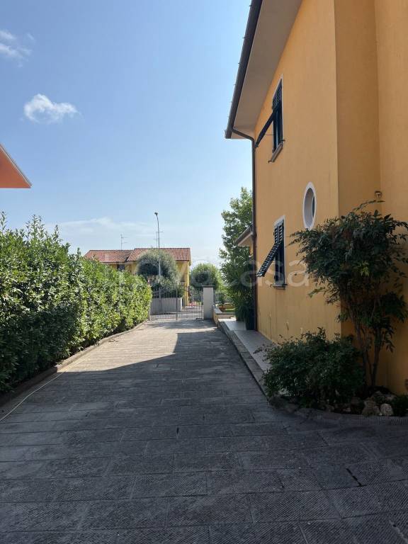 immagine annuncio 6 di 15