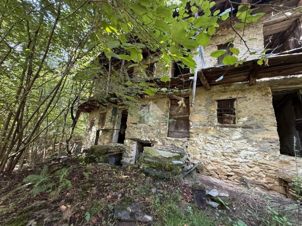 immagine annuncio 1 di 6