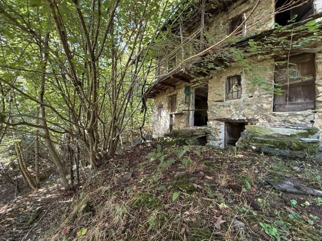 immagine annuncio 2 di 6