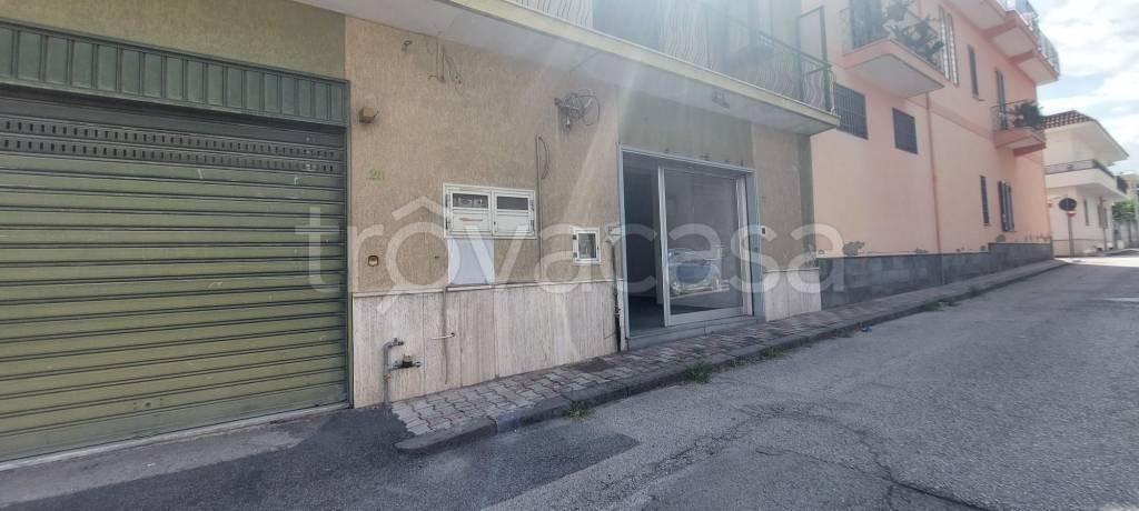 immagine annuncio 1 di 8
