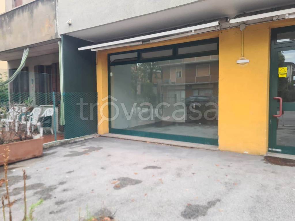 immagine annuncio 5 di 7