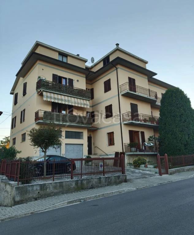 immagine annuncio 11 di 12