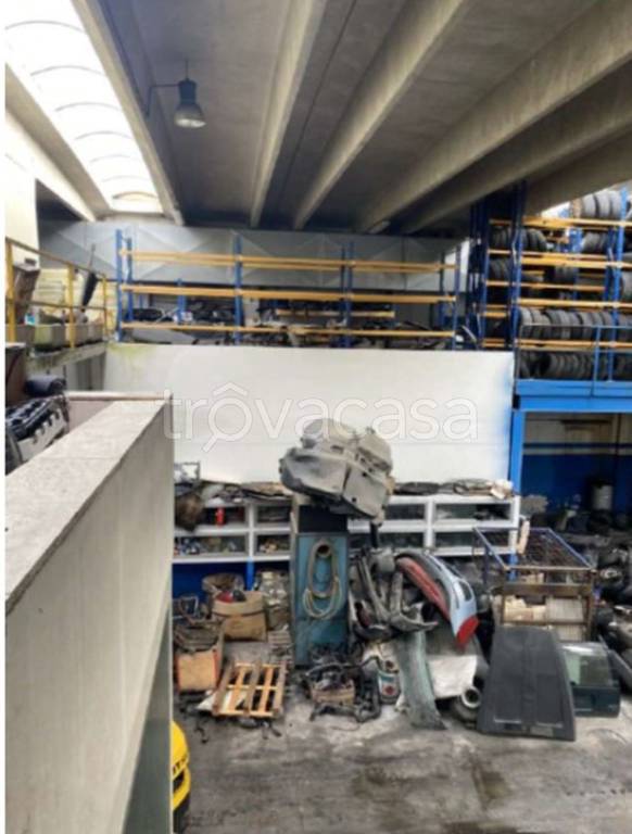 immagine annuncio 1 di 11